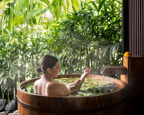 Gestão de Serviços e Pacotes no SPA